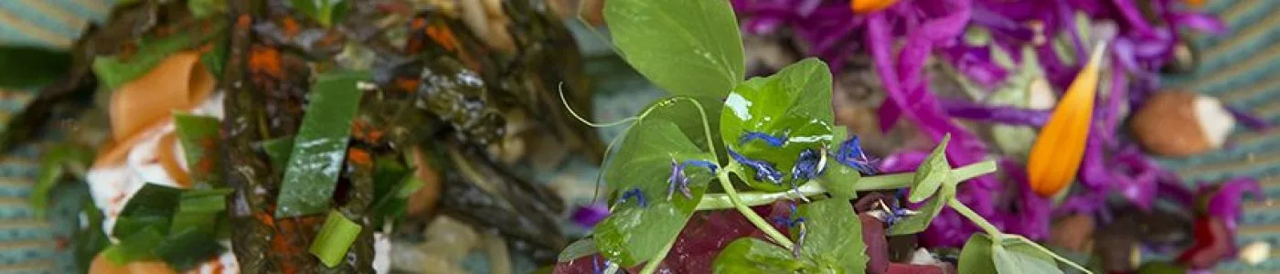 Nærbillede af en farverig salat med rødkål, urter og spiselige blomster.