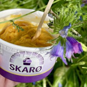 skarø is